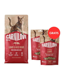 CARNILOVE Active Sterilised Trockenfutter Lamm und Wildschwein für sterilisierten Katzen 6 kg + Crunchy Snack Cat Lamb 2x50 g