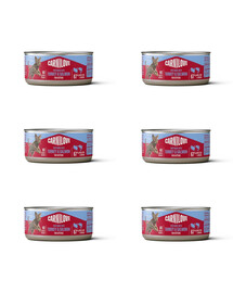 CARNILOVE Cat Can Paté Nassfutter Pastete mit Pute und Lachs für Kätzchen getreidefrei 6x100 g