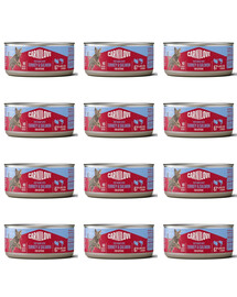 CARNILOVE Cat Can Paté Nassfutter Pastete mit Pute und Lachs für Kätzchen getreidefrei 12x100 g