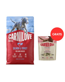 CARNILOVE Active Dog Salmon & Turkey Adult Large Breeds 4 kg łosoś i indyk dla psów dużych ras + CARNILOVE Dog Freeze Dried Turkey 60g GRATIS