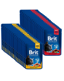 BRIT Premium Nassfutter in Soße mit Lachs, Forelle, Rind und Erbsen für Katzen 48x100 g