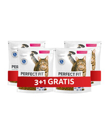 PERFECT FIT (Adult 1+) Reich an Lachs – Trockenfutter für Katzen 4 x 750 g