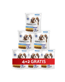 PERFECT FIT Junior Trockenvollnahrung mit Huhn für Welpen kleiner Rassen 6 x 825 g