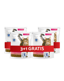 PERFECT FIT (Active 1+) Reich an Rindfleisch – Trockenfutter für Katzen 4 x 750 g
