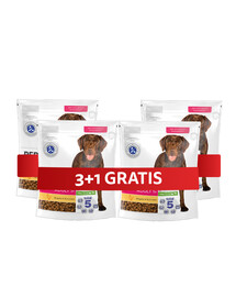 PERFECT FIT Adult 1+ Trockenvollnahrung mit Huhn für adulte Hunde großer Rassen 4 x 825 g