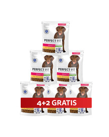 PERFECT FIT Adult 1+ Trockenvollnahrung mit Huhn für adulte Hunde großer Rassen 6 x 825 g