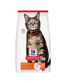 HILL'S Science Plan Feline Adult Salmon Trockenfutter mit Lachs für adulte Katzen 10 kg