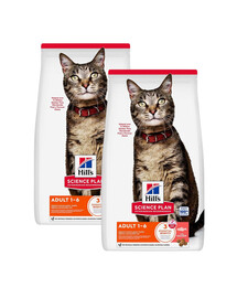 HILL'S Science Plan Feline Adult Salmon Trockenfutter mit Lachs für adulte Katzen 2x10 kg