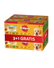 PEDIGREE Junior Nassfutter Mix Geschmacks mit Reis in Gelee 4 x 40x100 g