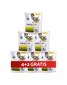 PERFECT FIT (Sensitive 1+) Reich an Truthahn – Trockenfutter für Katzen mit empfindlichem Verdauungssystem 6 x 750 g