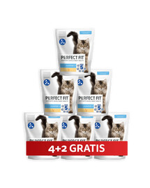 PERFECT FIT (Junior) Reich an Huhn – Trockenfutter für Kätzchen 6 x 750 g