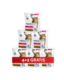 PERFECT FIT (Adult 1+) Reich an Lachs – Trockenfutter für Katzen 6 x 750 g