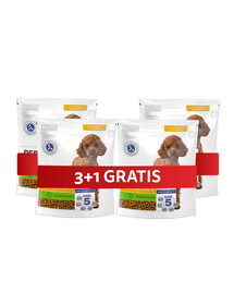 PERFECT FIT Sensitive 1+ Trockenvollnahrung mit Truthahn für adulte Hunde kleiner Rassen 4 x 825 g