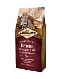 CARNILOVE Cat Energy & Outdoor 2 kg
