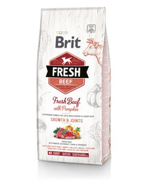 BRIT Fresh beef with pumpkin puppy large 2,5 kg