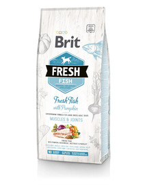BRIT Fresh Fish with Pumpkin Adult Large Muscles & Joints 2,5 kg