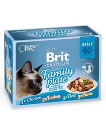 BRIT Premium Cat Delicate Fillets in Gravy Family Plate (12x85 g)