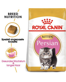 ROYAL CANIN Persian Kitten Trockenfutter für Perser-Kätzchen 10 kg