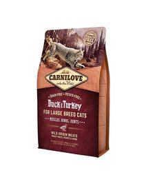 CARNILOVE ADULT LARGE BREED DUCK & TURKEY | Ente & Truthahn 2 kg