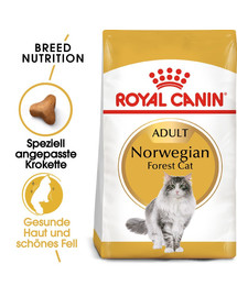 ROYAL CANIN Norwegian Forest Cat Adult Trockenfutter für Norwegische Waldkatzen 10 kg