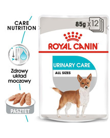 ROYAL CANIN Urinary Care Nassfutter für Hunde mit empfindlichen Harnwegen Mousse 85 g x 12