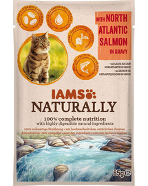 IAMS Naturally erwachsene Katze mit Lachs aus dem Nordatlantik in Sauce 85 g