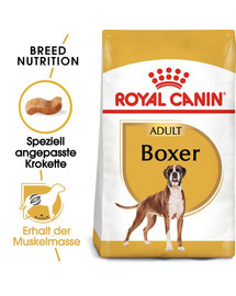 ROYAL CANIN Boxer Adult Hundefutter trocken 24 kg (2 x 12 kg)