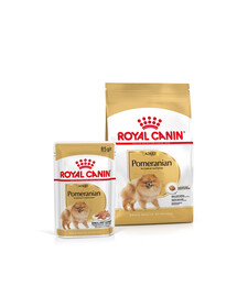 ROYAL CANIN Trockenfutter Pomeranian Adult 3 kg + Nassfutter Pomeranian Adult 12x85g