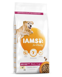 IAMS for Vitality Senior für ältere Hunde großer Rassen mit frischem Huhn 12 kg