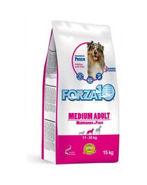 FORZA10 Medium Maintenance mit Fisch Trockenfutter für ausgewachsene mittelgroße Hunde 15 kg