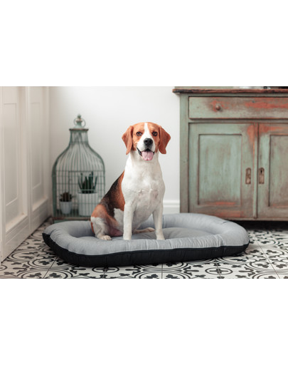 FERA Sky Pontoon Hundebett XL 117 x 86 cm
