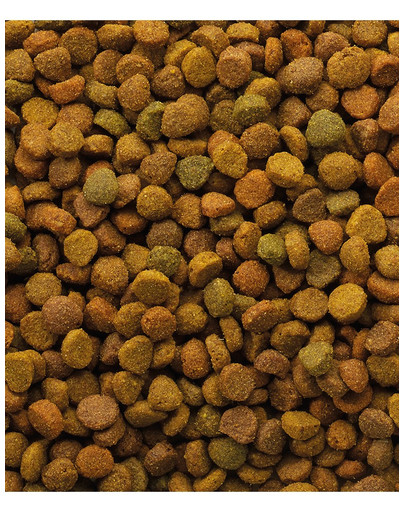 VERSELE-LAGA Classic Cat Variety 4kg
