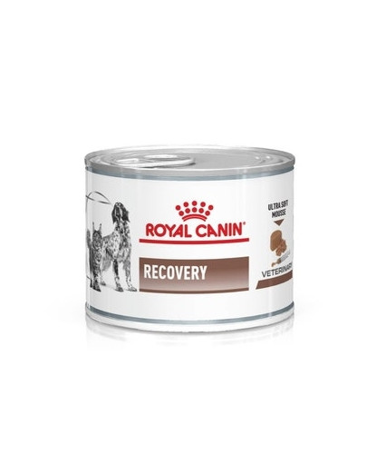 ROYAL CANIN Vet dog cat recovery 195 g Diät-Alleinfuttermittel für ausgewachsene Hunde und ausgewachsene Katzen