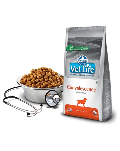 FARMINA Vet Life Convalescence Dog 2 kg