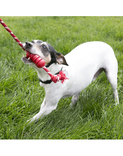 KONG Dental with Rope M