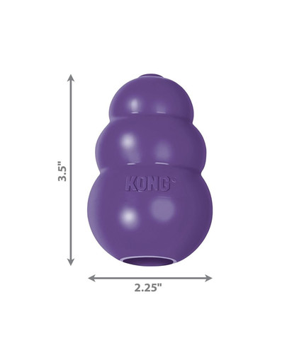 KONG Senior M