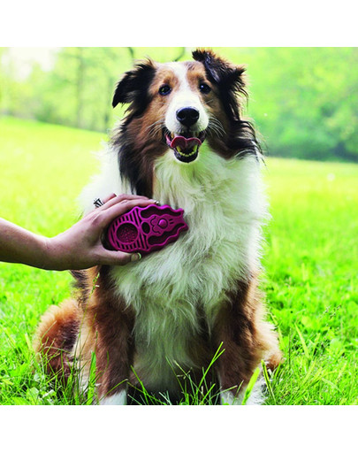 KONG ZoomGroom Raspberry L