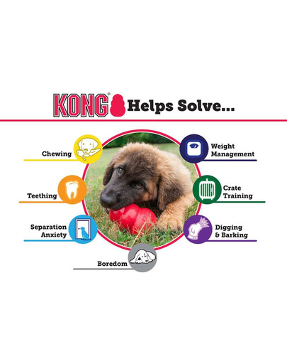 KONG Extreme M