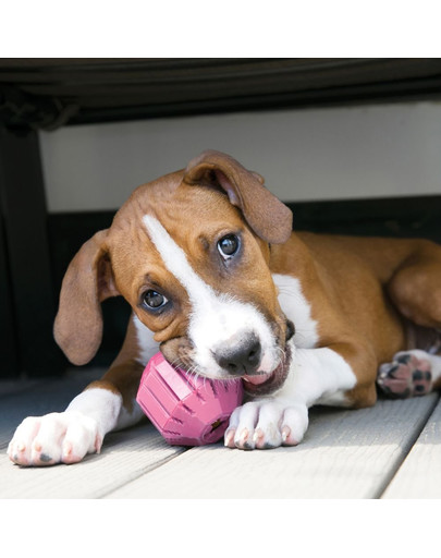 KONG Puppy Activity Ball M