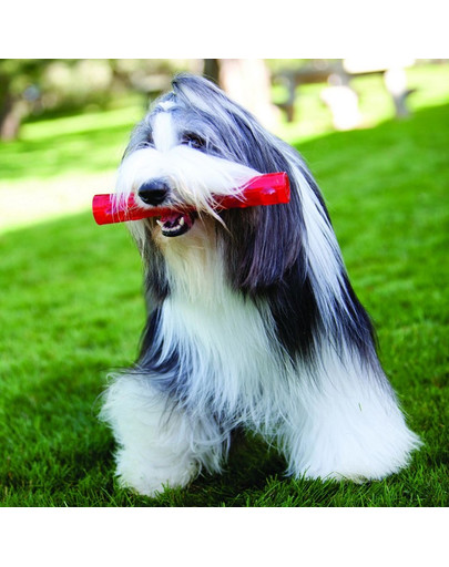 KONG Squeezz stick L