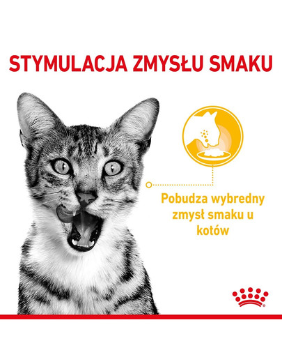 ROYAL CANIN Sensory Taste Stücke in Soße 12x85g für ausgewachsene Katzen zur Stimulierung des Geschmackserlebnisses
