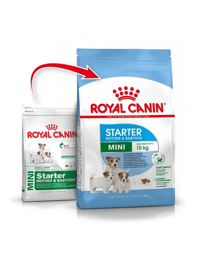 ROYAL CANIN Mini Starter Mother& Babydog 4 kg für trächtige und säugende Hündinnen und Welpen, von 4 bis 8 Wochen, kleine Rassen