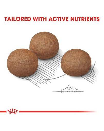 ROYAL CANIN CCN Maxi Digestive Care 12 kg