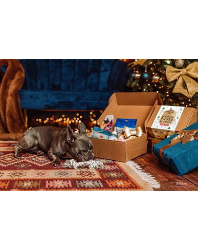 ZOLUX Geschenk-Set für Hunde