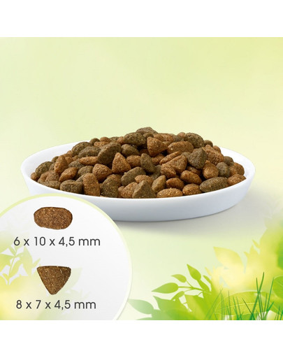 PERFECT FIT Natural Vitality mit Rindfleisch und Huhn für ausgewachsene Katzen 6 kg