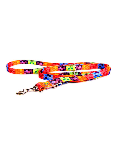 FERA verstellbare Hundeleine Octagon 220 cm / 2 cm