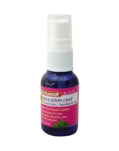 ZOLUX Spray mit Katzenminze 30 ml