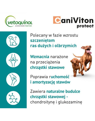 VETOQUINOL Caniviton protect 30 Tabletten