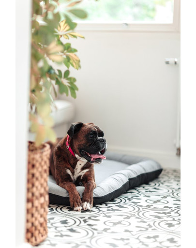FERA Sky Pontoon Hundebett hellgrau M 88 x 62 cm