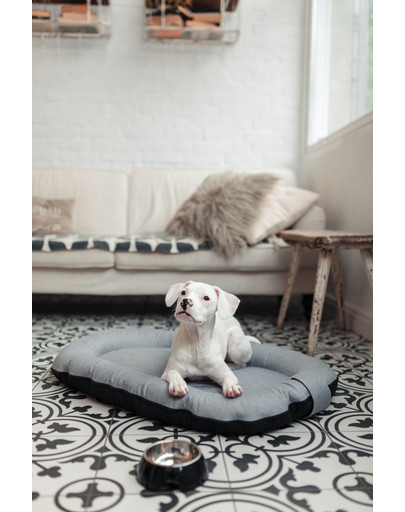 FERA Sky Pontoon Hundebett hellgrau M 88 x 62 cm